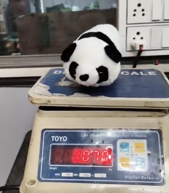 Magic plush Panda